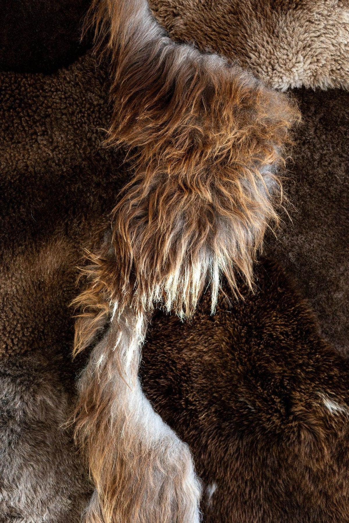 Détail de la laine naturelle brun chiné du tapis Mélangé DUNE & CO