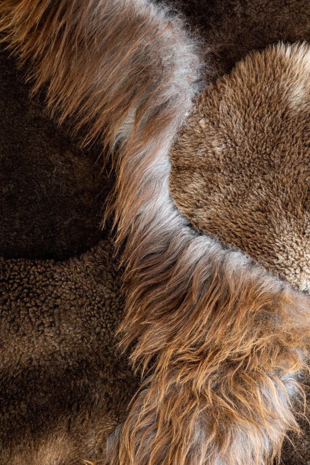 Détail des textures longues et rasées du tapis Mélangé brun chiné DUNE & CO